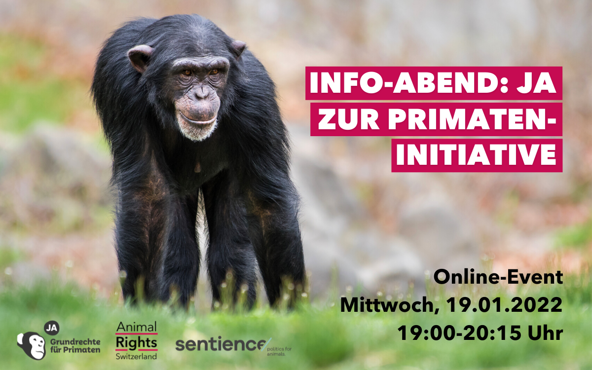 info-abend Primaten-Initiative