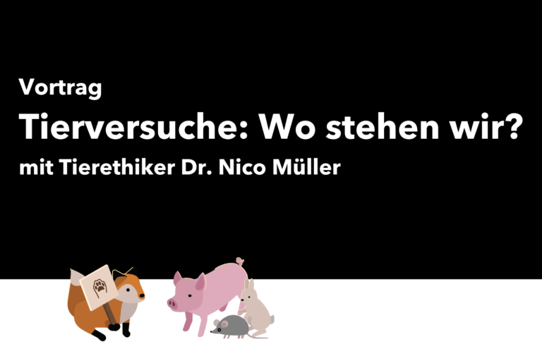 2026 Vorträge (5)