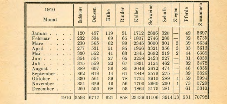 Screenshot Stadtratsbericht 1911
