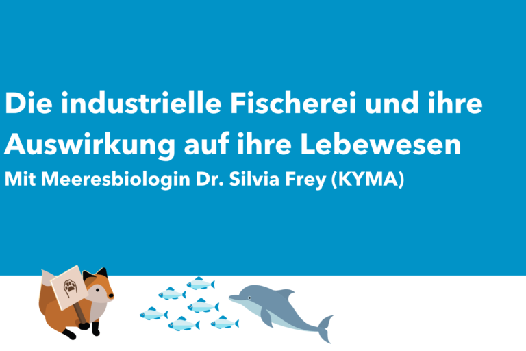 2026-11-05 Vortrag Silvia Frey