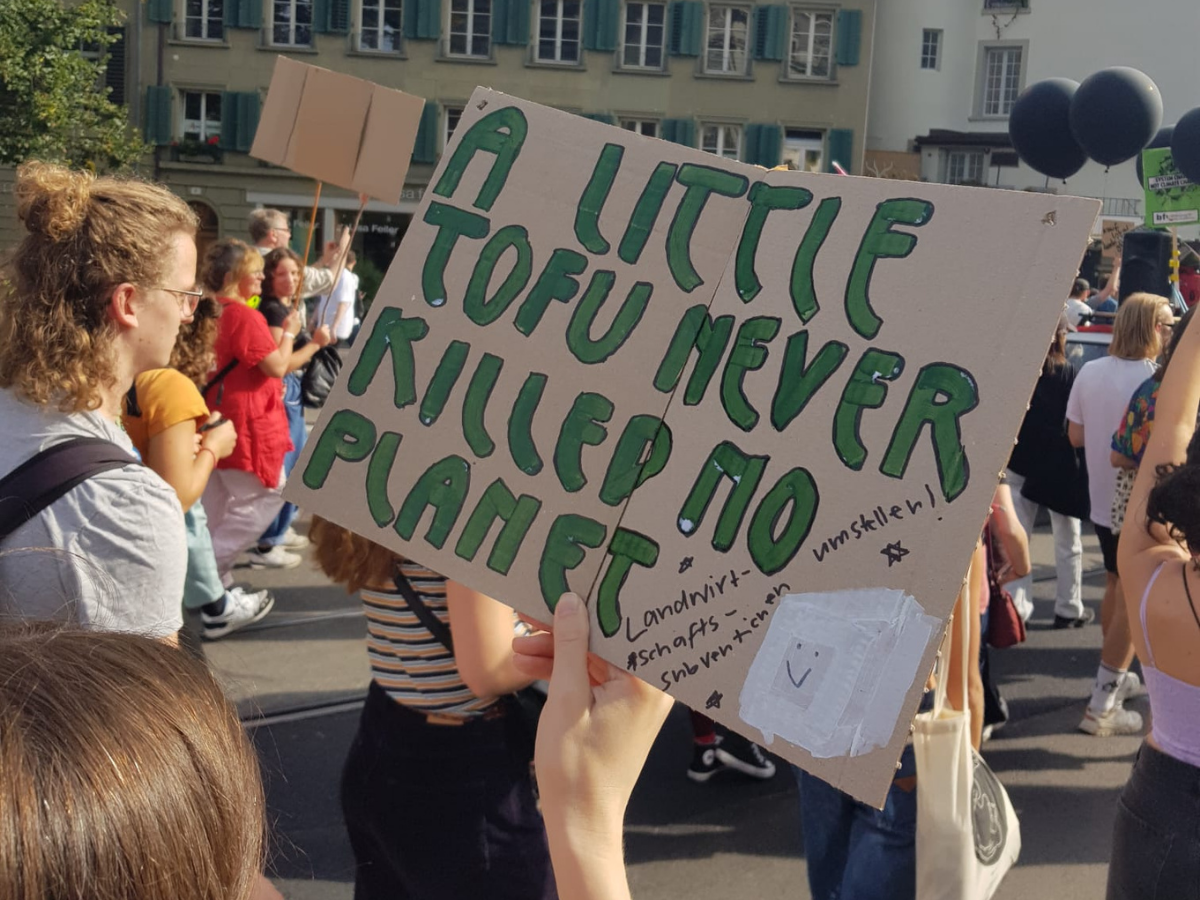 Demoschild