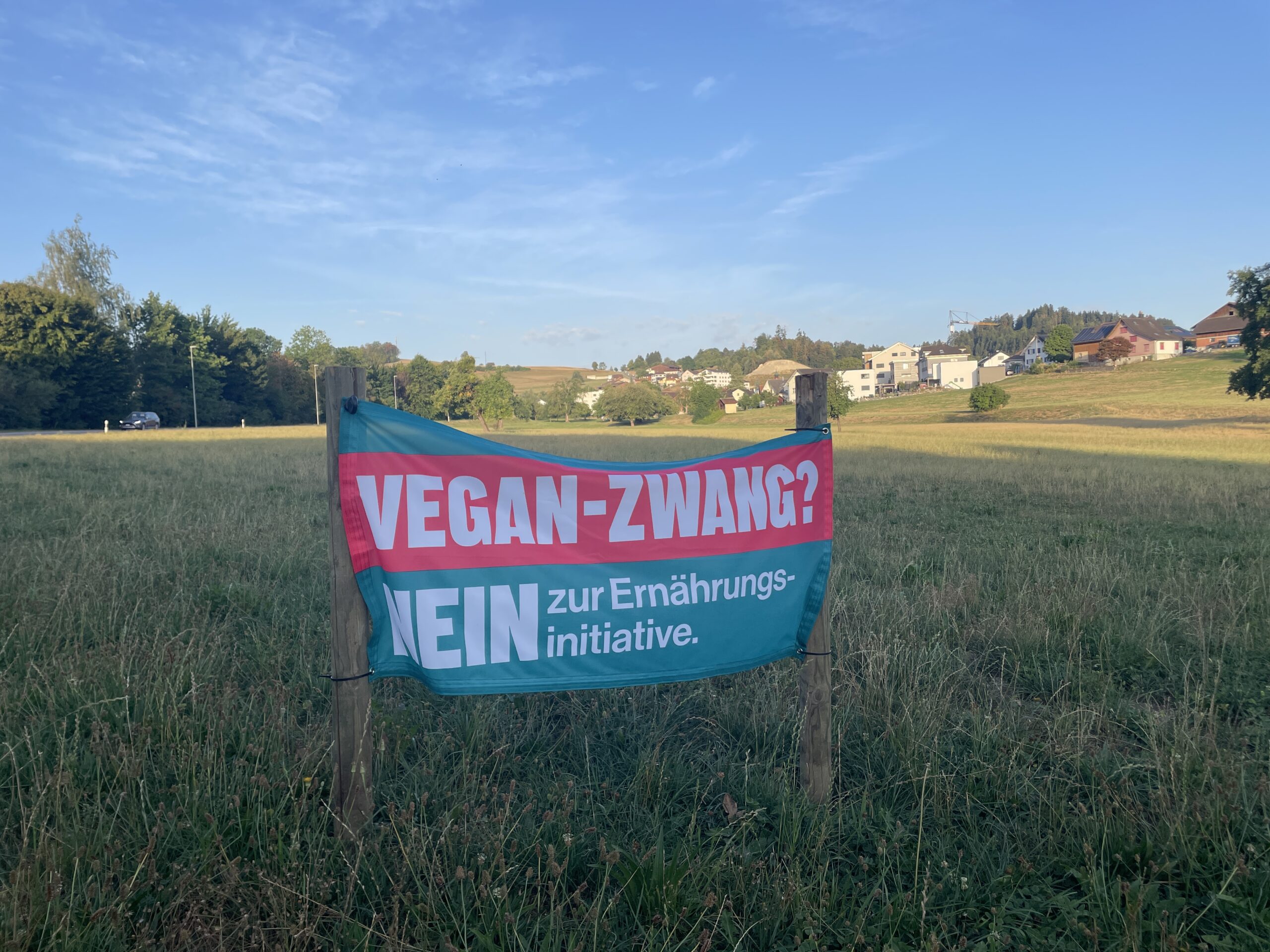 Fahne Vegan-Zwang