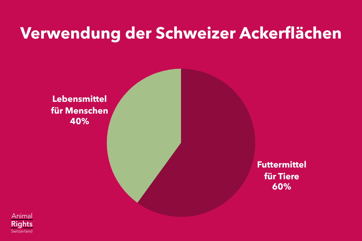 Verwendung Schweizer Ackerflächen
